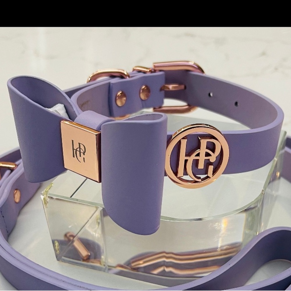Gold Leather Dog Collar | Gold Hardware and Removable Bow | Small - Picture 8 of 15